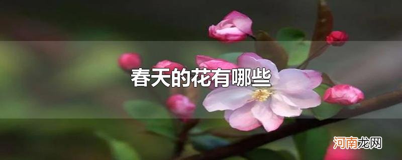 春天的花有哪些