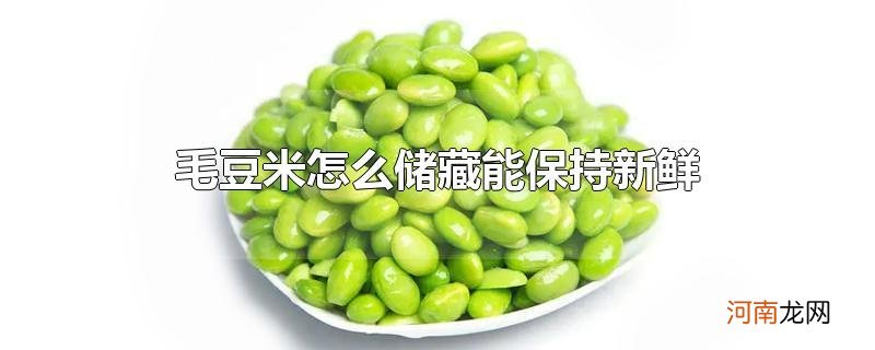 毛豆米怎么储藏能保持新鲜