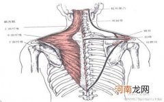 不同类型颈椎病症状