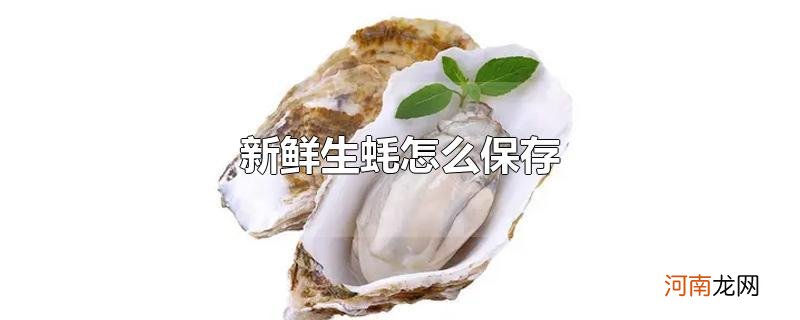 新鲜生蚝怎么保存