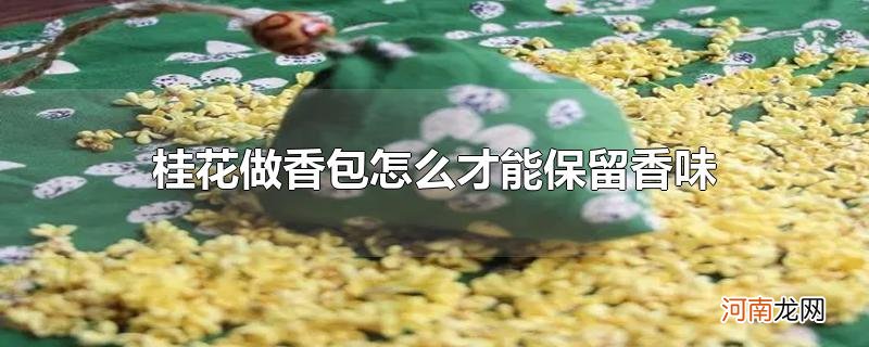 桂花做香包怎么才能保留香味