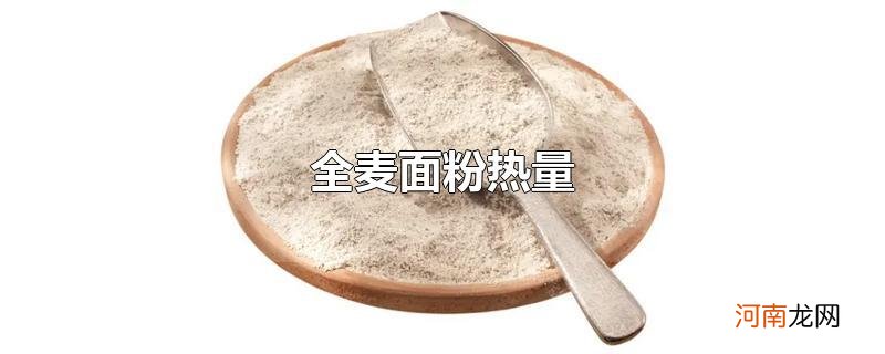 全麦面粉热量