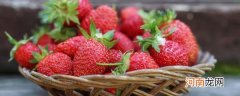 草莓心形花刀的切法的做法 草莓心形花刀的切法是什么