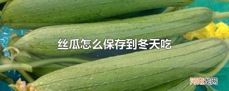 丝瓜怎么保存到冬天吃