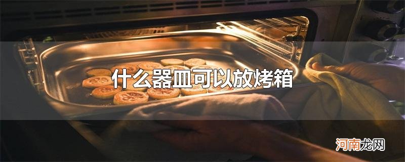 什么器皿可以放烤箱