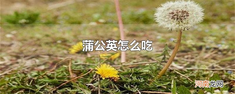 蒲公英怎么吃