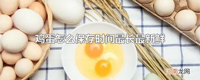 鸡蛋怎么保存时间最长最新鲜