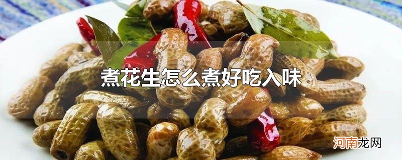 煮花生怎么煮好吃入味