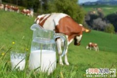 牛初乳的副作用：上火事小，致性早熟就大件事了