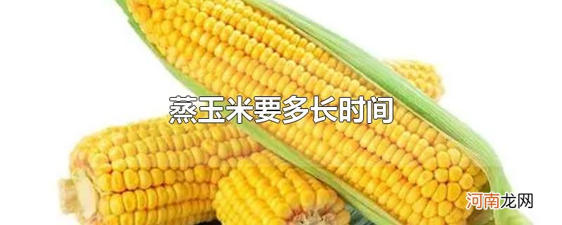 蒸玉米要多长时间