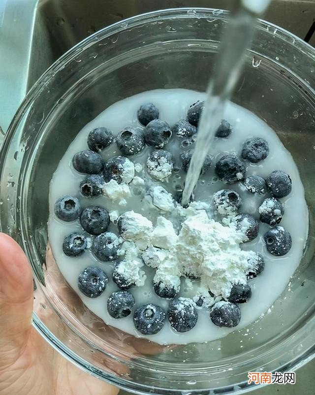 洗蓝莓的几个方法 用面粉蓝莓怎么洗才干净