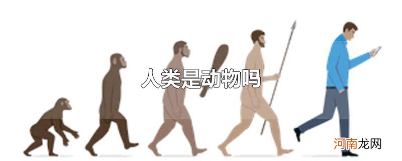 人类是动物吗