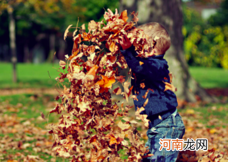 男宝宝名字缺火优质