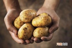 土豆发芽到什么程度不能吃 发了芽的土豆到底能不能吃呢