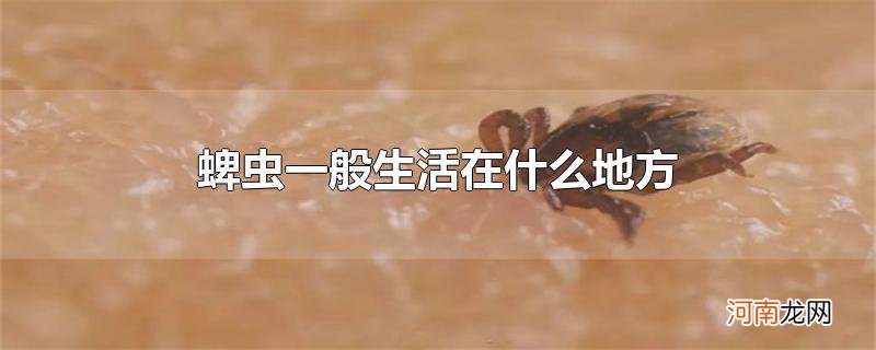 蜱虫一般生活在什么地方