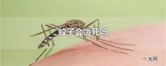 蚊子会饿死吗