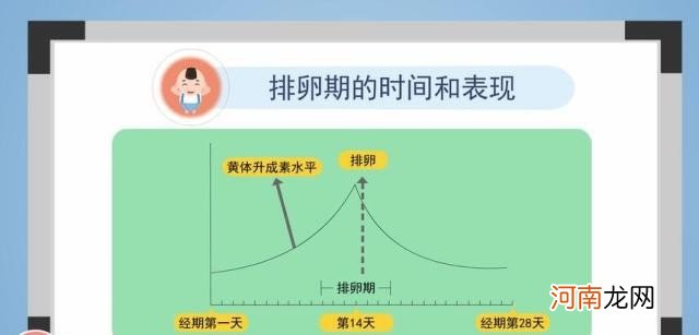 那些人根本不能吃槐花 槐花吃了对身体有什么危害