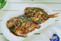 简单易做的红烧鲳鱼 鲳鱼怎么做好吃又简单的方法