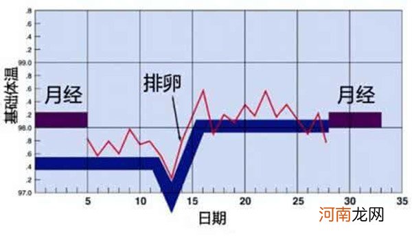 排卵期有什么症状 排卵期怎么算才最准确简单方法