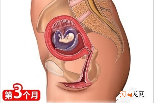 怀孕十个月肚子变化图 认识自己1-10月肚子微妙变化