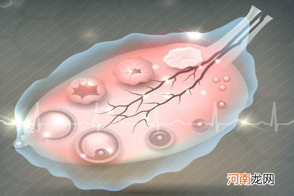 女性备孕指南 告诉你女性备孕吃什么养卵泡