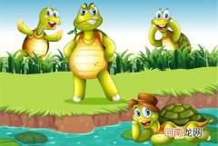 托班语言教案《小乌龟找朋友》 感受小乌龟的情绪