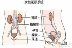 产后尿路感染吃什么药 看中西医药、偏方各见高招