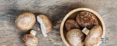 香菇怎么做最好吃 制作葱油香菇的方法