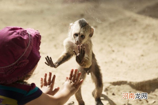 中国式逗小孩的弊端 他是孩子不是猴子请分清楚