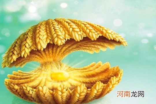 小麦胚芽回奶吗 宝妈们发言是最权威的