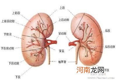 肾功能不全的早期症状