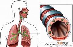 支气管炎的饮食预防