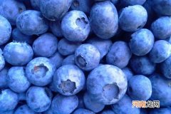 吃蓝莓注意那三点 蓝莓的功效与作用吃法