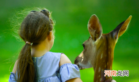 龙年女宝宝取名字习俗优质