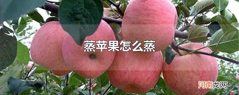 蒸苹果怎么蒸