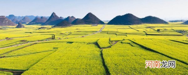 罗平旅游景点大全 罗平旅游景点推荐