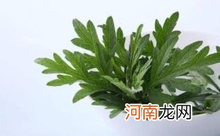 用艾草熏屋子有什么好处优质