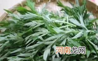 清明草是艾草吗优质