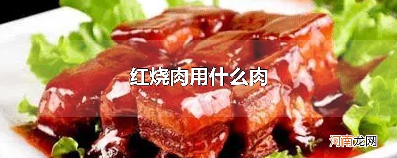 红烧肉用什么肉