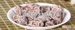 话梅为什么叫话梅