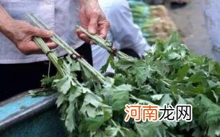 夏天能吃艾草吗优质