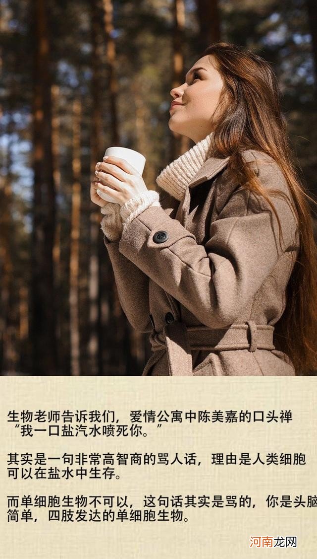 非常高智商的骂人话 搞笑骂人的话短句大全