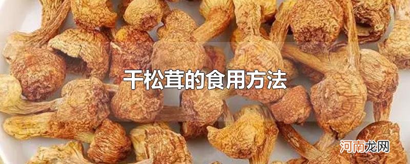 干松茸的食用方法