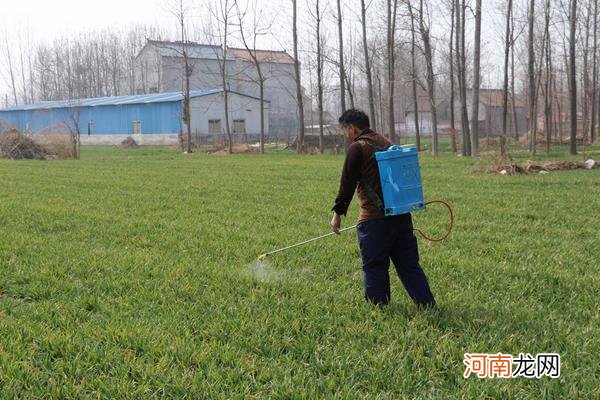 怎样自制除草剂 自制除草剂配方永久不长草