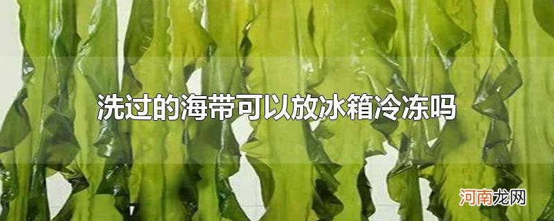 洗过的海带可以放冰箱冷冻吗