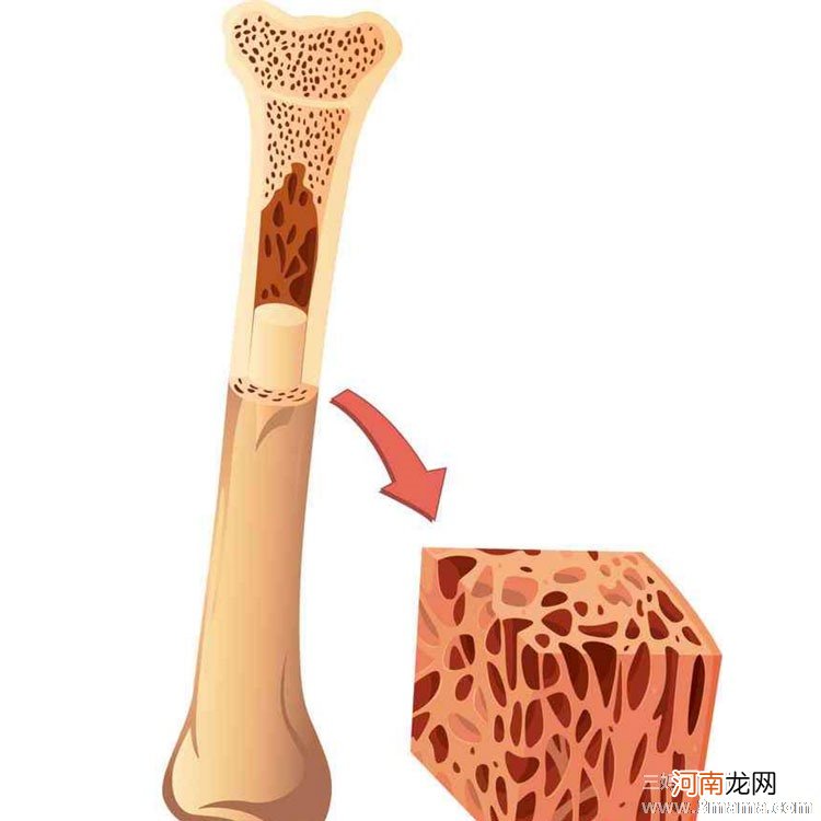 白斩鸡必须煮透骨髓后再吃