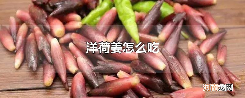 洋荷姜怎么吃