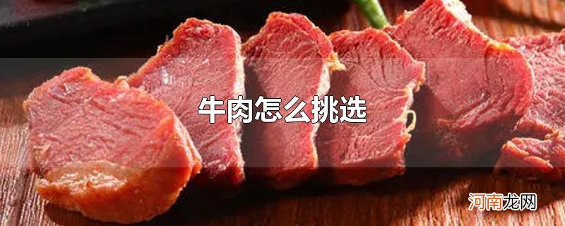 牛肉怎么挑选