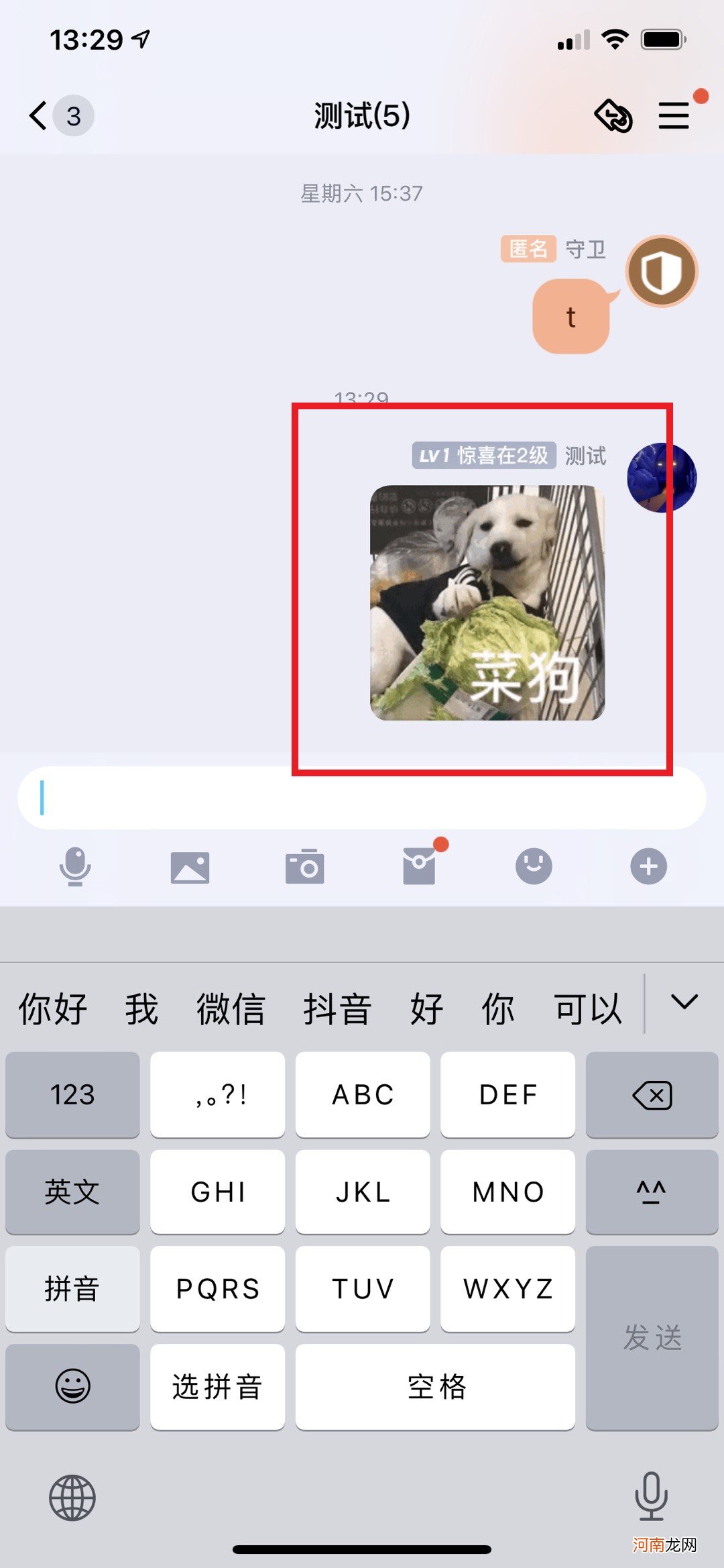 qq大号菜狗怎么发优质