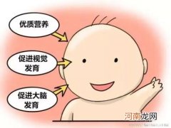 母乳豢养增进婴儿智力发展